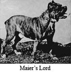 Maiers Lord